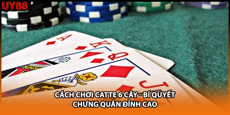 Cách Chơi Catte 6 Cây - Bí Quyết Chưng Quân Đỉnh Cao