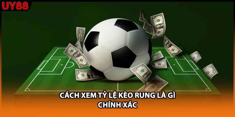 Cách xem tỷ lệ kèo rung là gì chính xác Cách xem tỷ lệ kèo rung là gì chính xác