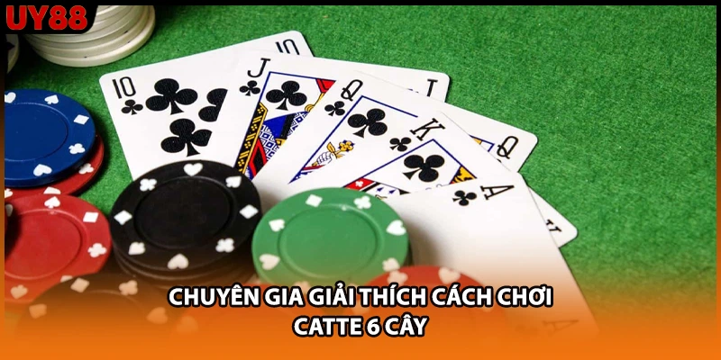 Chuyên gia giải thích cách chơi Catte 6 cây Chuyên gia giải thích cách chơi Catte 6 cây