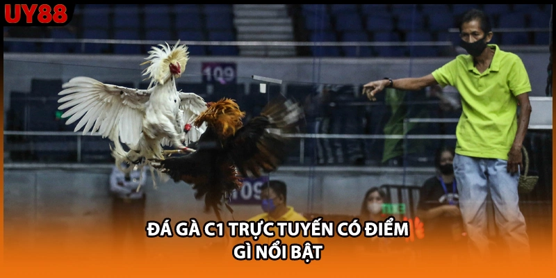 Đá gà C1 trực tuyến có điểm gì nổi bật Đá gà C1 trực tuyến có điểm gì nổi bật