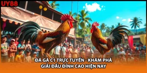 Đá Gà C1 Trực Tuyến - Khám Phá Giải Đấu Đỉnh Cao Hiện Nay