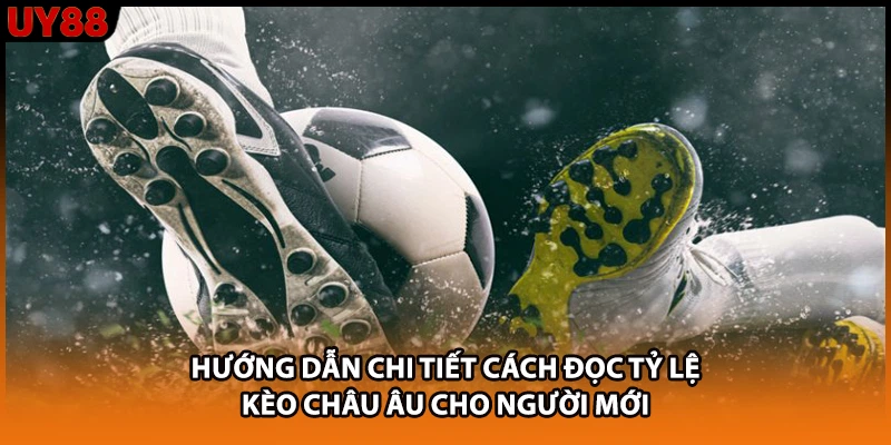 Hướng dẫn chi tiết cách đọc tỷ lệ kèo châu Âu cho người mới Hướng dẫn chi tiết cách đọc tỷ lệ kèo châu Âu cho người mới