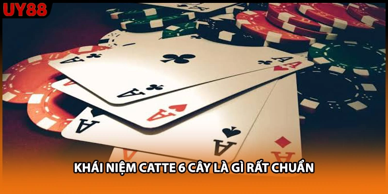 Khái niệm Catte 6 cây là gì rất chuẩn