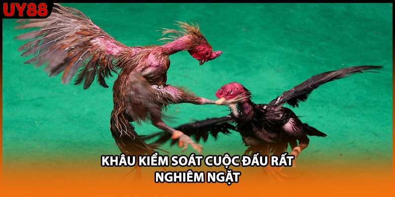Khâu kiểm soát cuộc đấu rất nghiêm ngặt Khâu kiểm soát cuộc đấu rất nghiêm ngặt