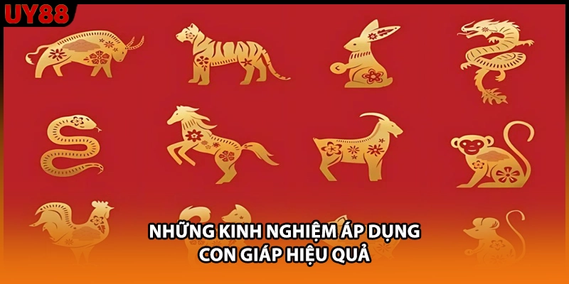 Những kinh nghiệm áp dụng con giáp hiệu quả Những kinh nghiệm áp dụng con giáp hiệu quả