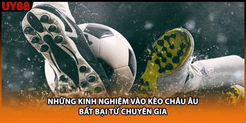 Những kinh nghiệm vào kèo châu Âu bất bại từ chuyên gia Những kinh nghiệm vào kèo châu Âu bất bại từ chuyên gia