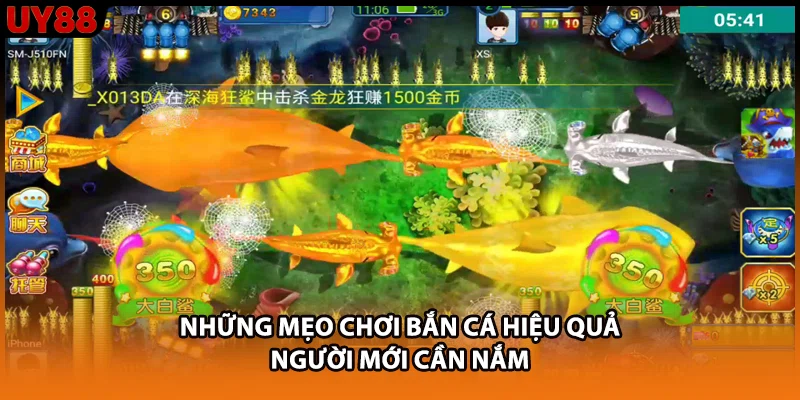 Những mẹo chơi bắn cá hiệu quả người mới cần nắm Những mẹo chơi bắn cá hiệu quả người mới cần nắm
