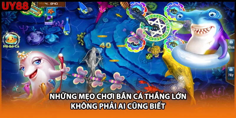 Những mẹo chơi bắn cá thắng lớn không phải ai cũng biết Những mẹo chơi bắn cá thắng lớn không phải ai cũng biết