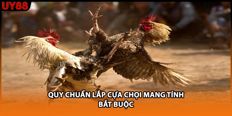 Quy chuẩn lắp cựa chọi mang tính bắt buộc Quy chuẩn lắp cựa chọi mang tính bắt buộc