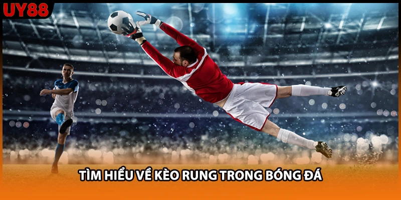 Tìm hiểu về kèo rung trong bóng đá Tìm hiểu về kèo rung trong bóng đá